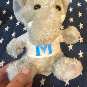 Peluche Elefante Personalizado
