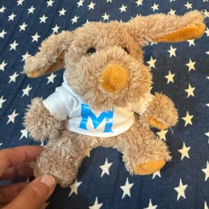 Peluche Perrito Personalizado